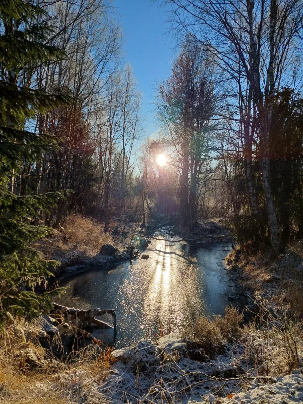 Nederhögen Vildmarkscenter Camping