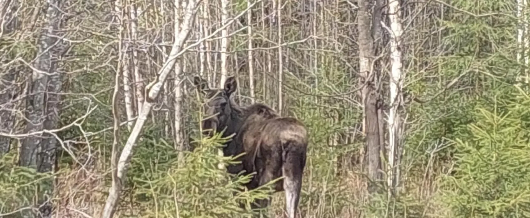 Nederhögen Vildmarkscenter Camping
