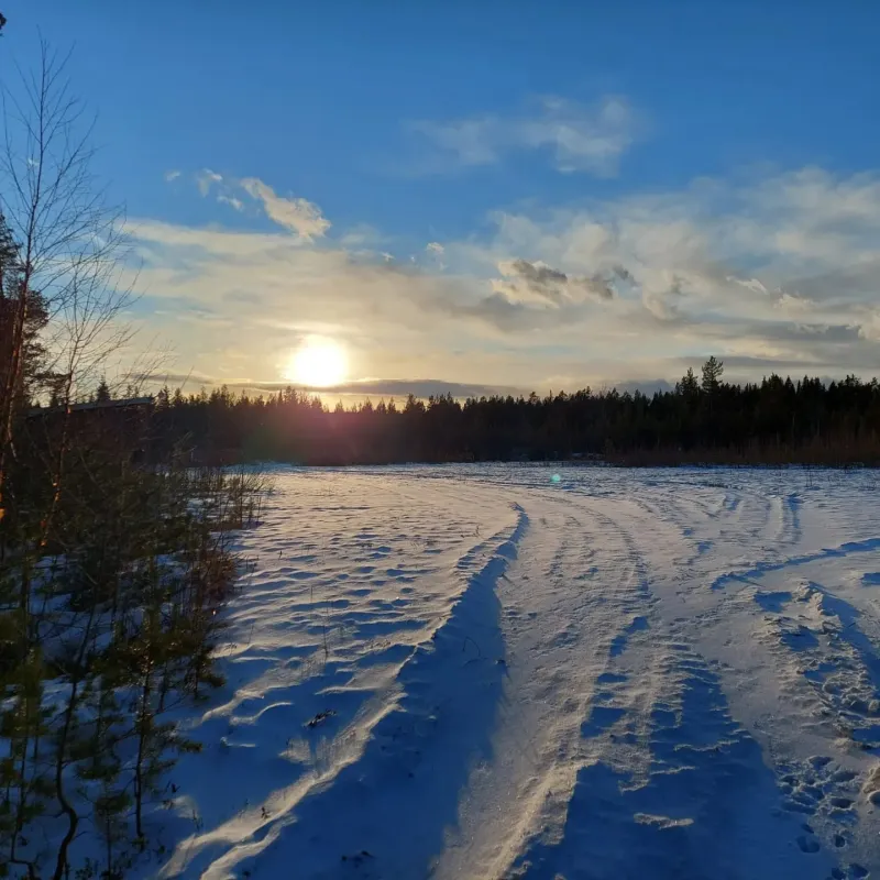 Nederhögen Vildmarkscenter Camping