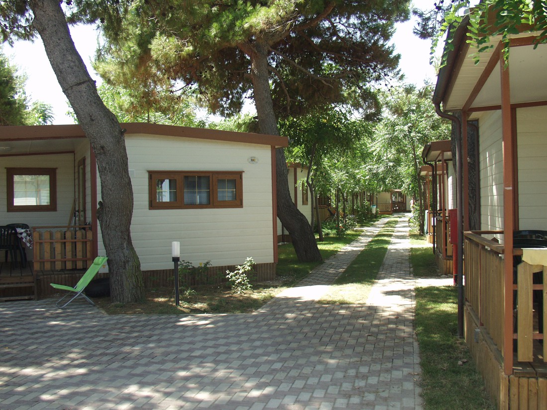 Pineto Beach photo 4