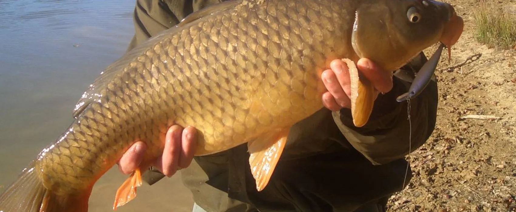 Les Lacs D’armagnac