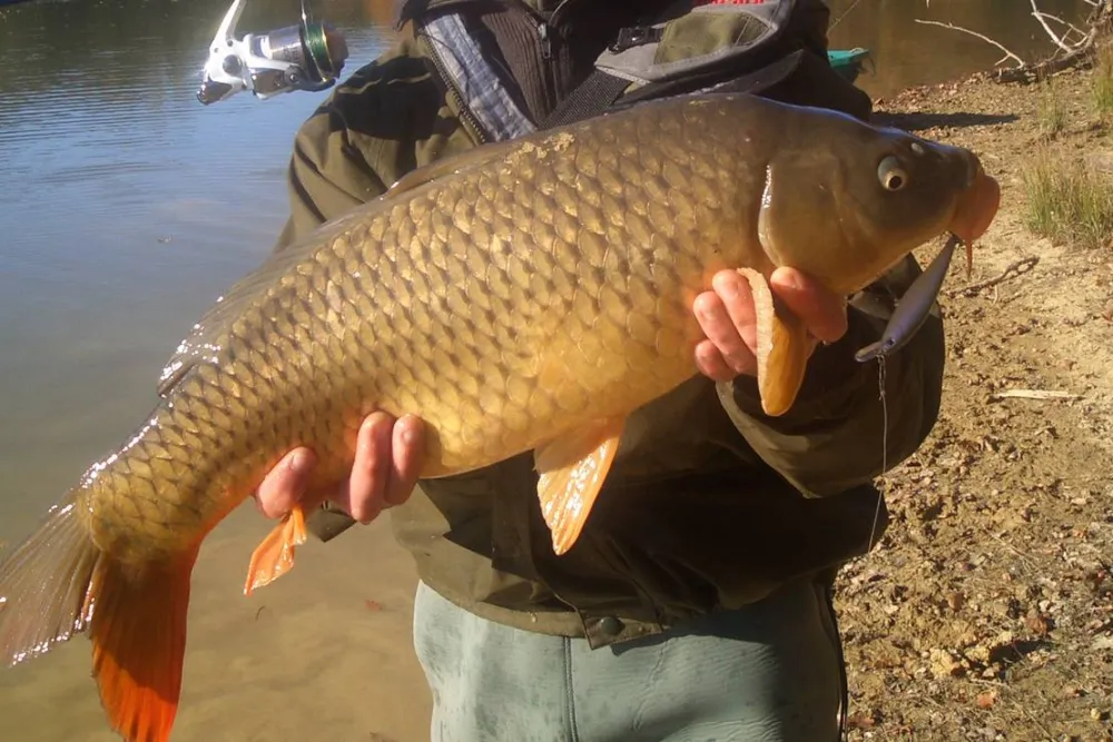 Les Lacs D’armagnac