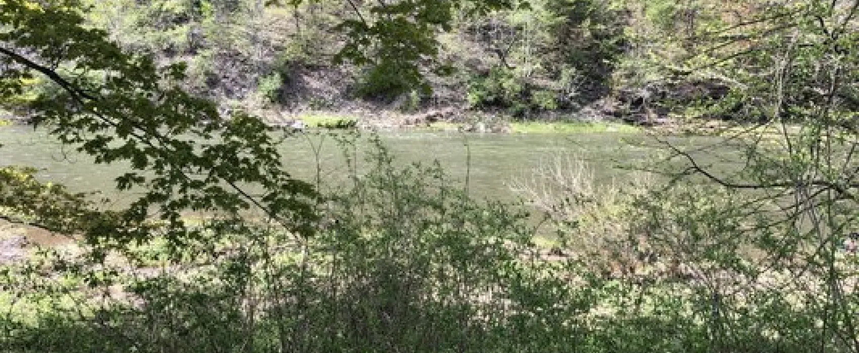 Pettecote Junction Campground