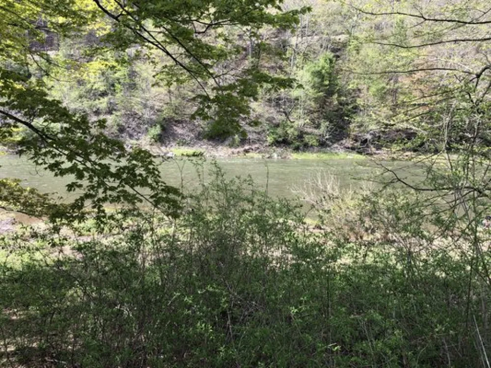 Pettecote Junction Campground