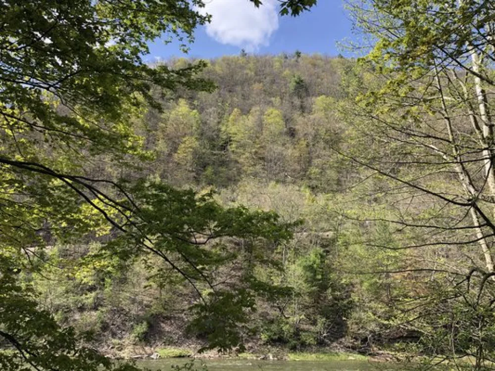 Pettecote Junction Campground