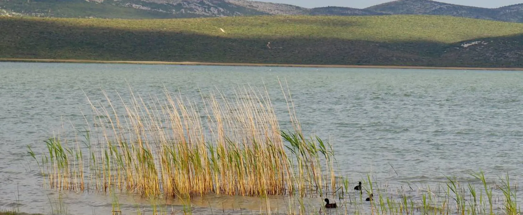 Camp Vransko lake - Crkvine