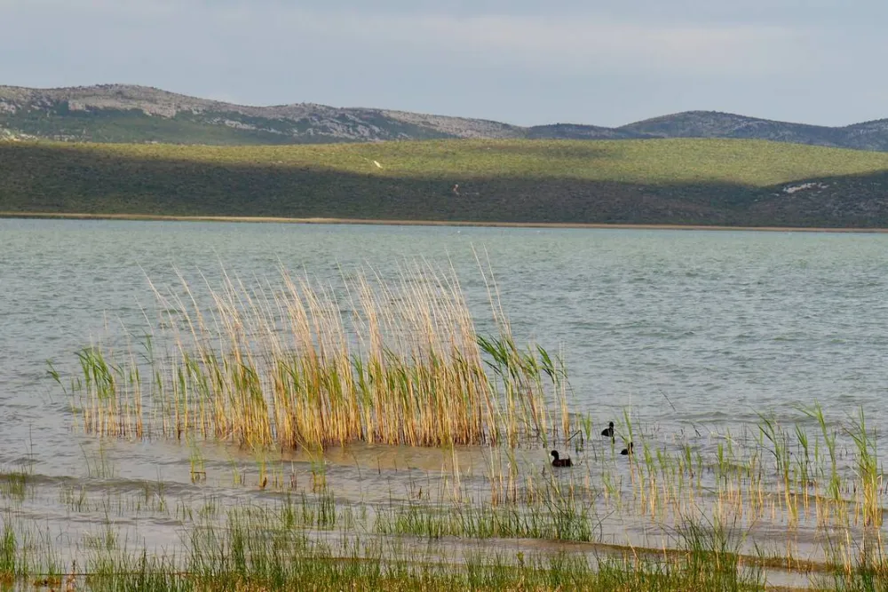 Camp Vransko lake - Crkvine
