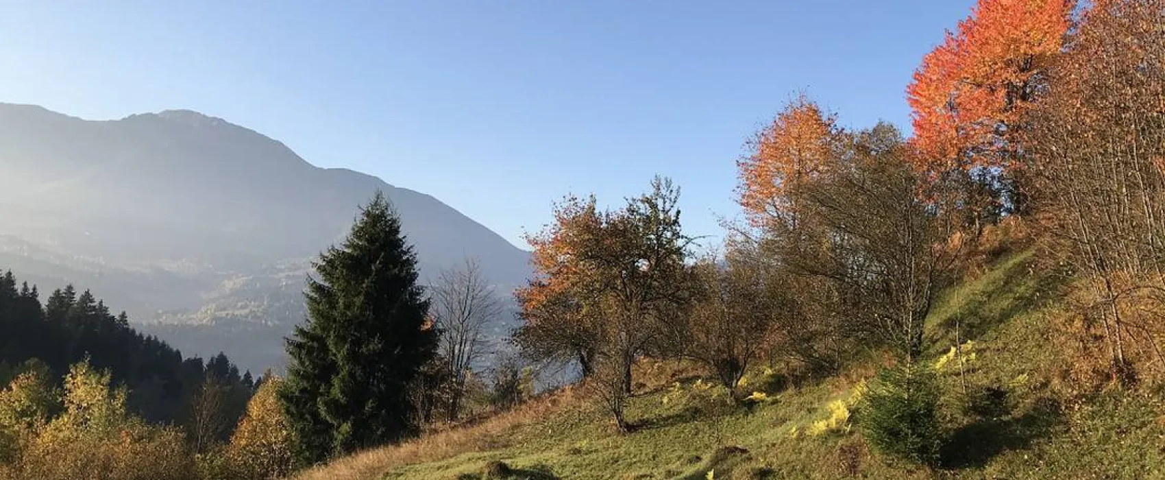 SC. offRoadventure SRL.