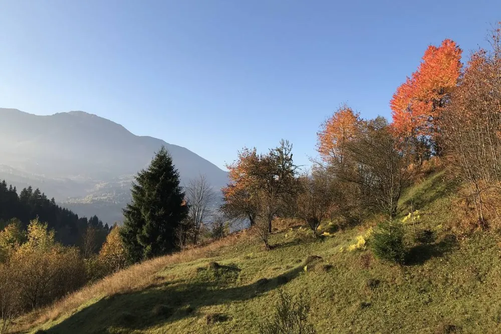 SC. offRoadventure SRL.