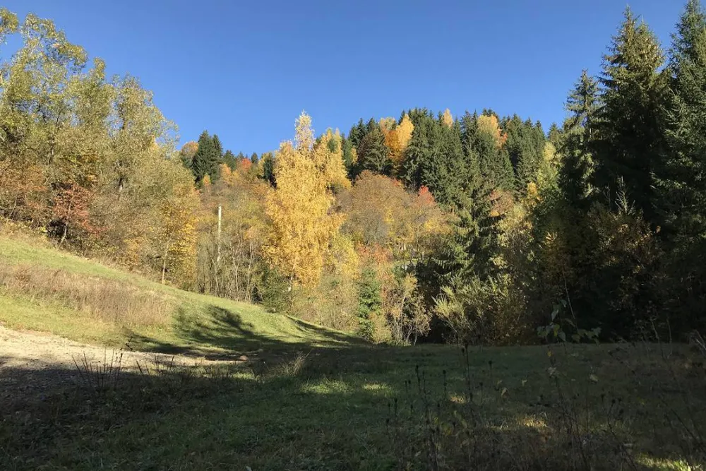 SC. offRoadventure SRL.