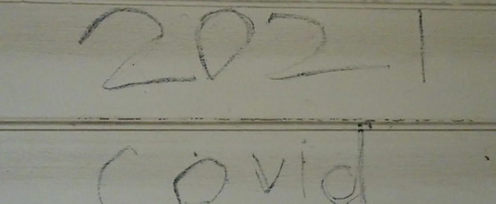 Tantanoola Campground