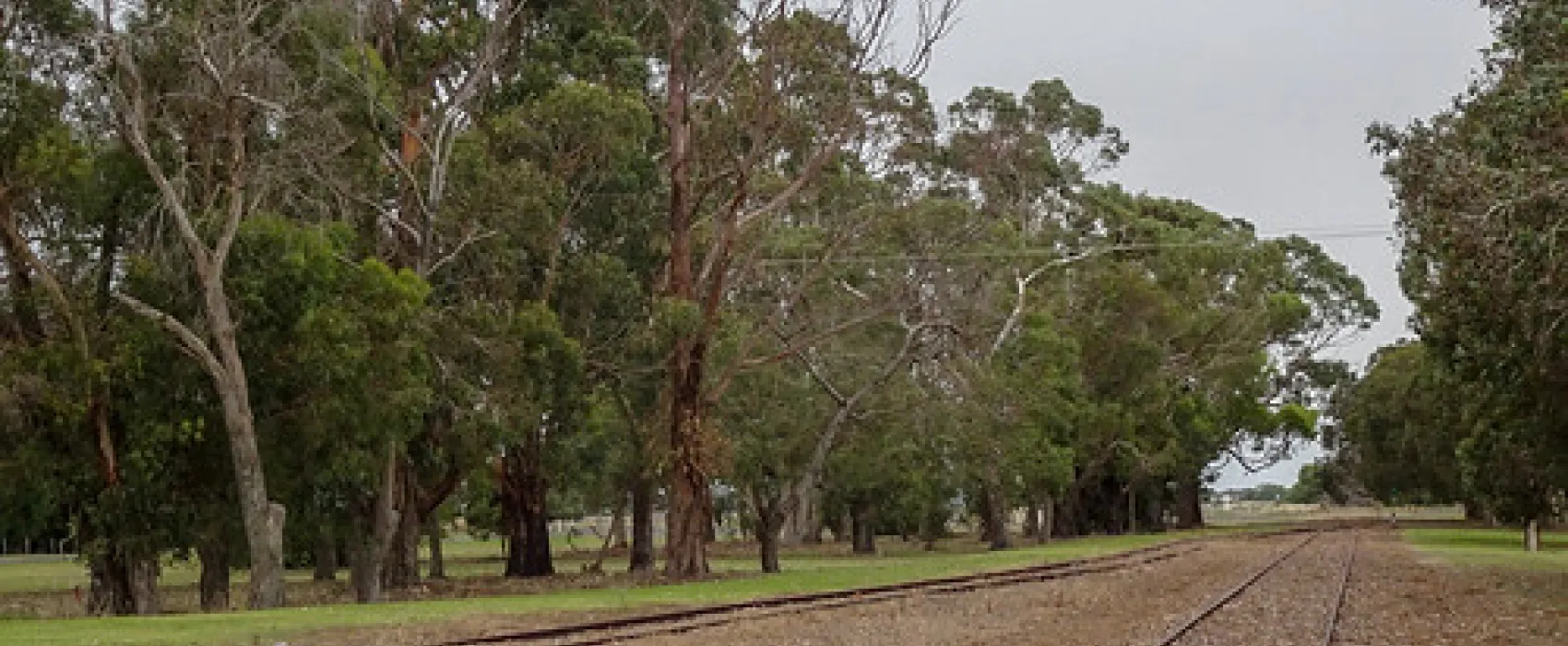 Tantanoola Campground