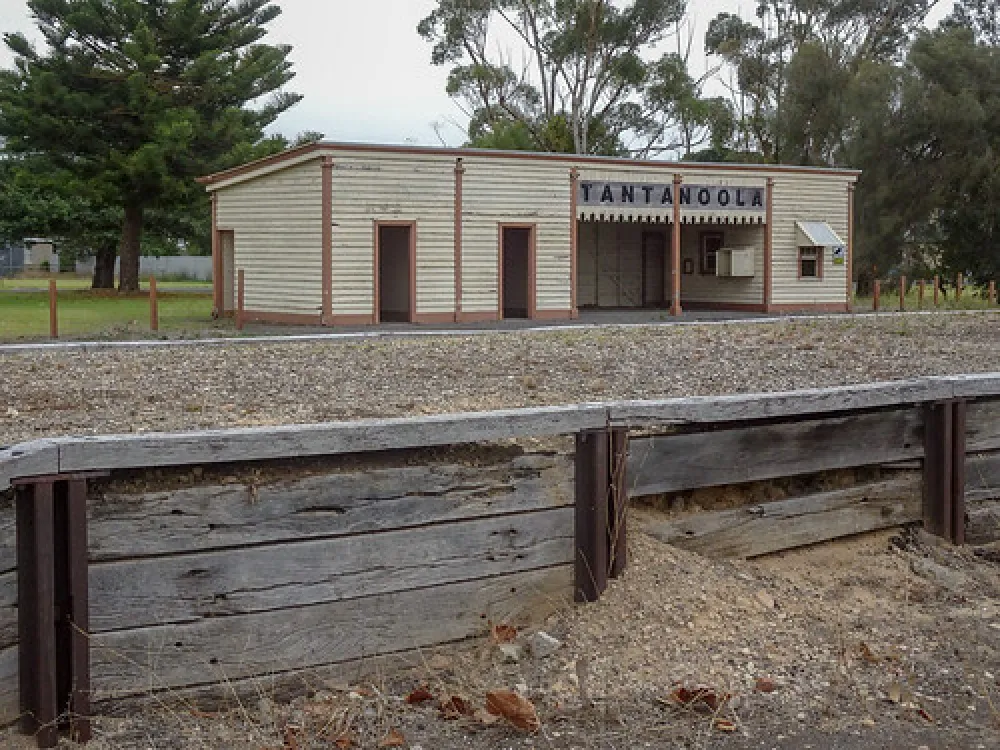 Tantanoola Campground
