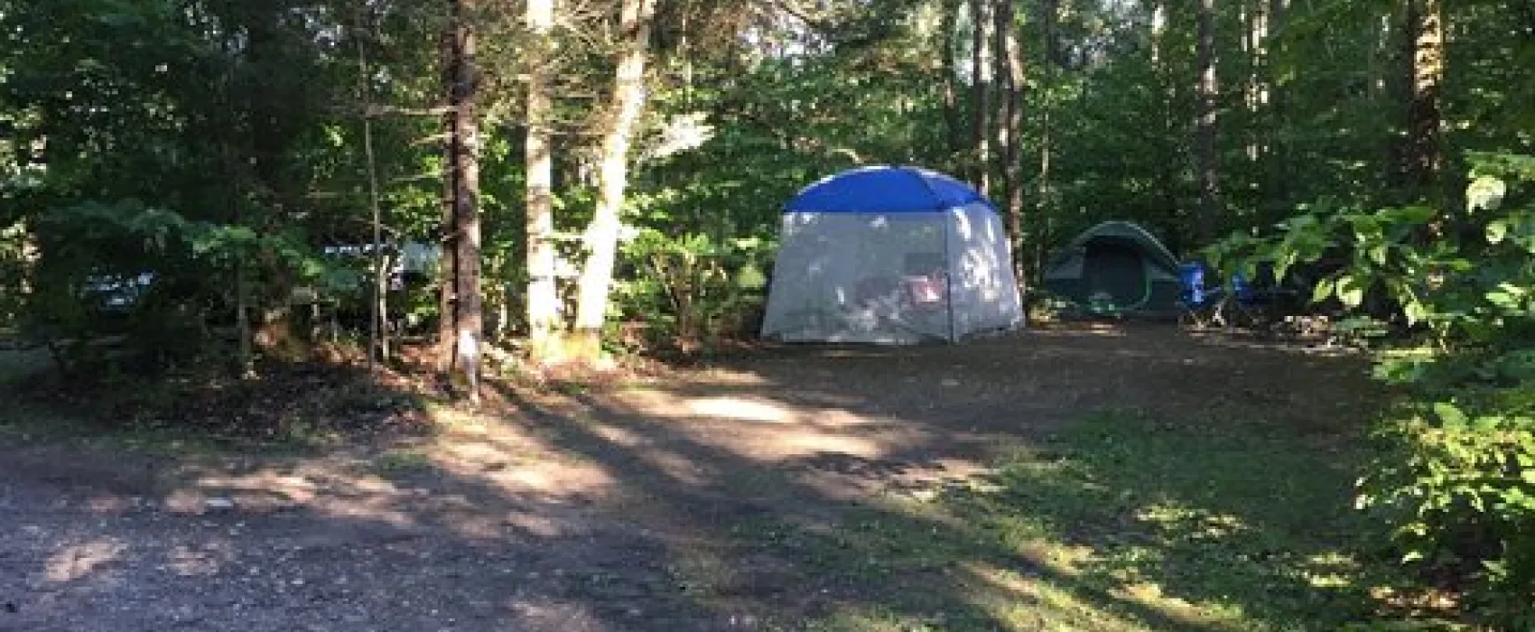Fernwood Forest Campground