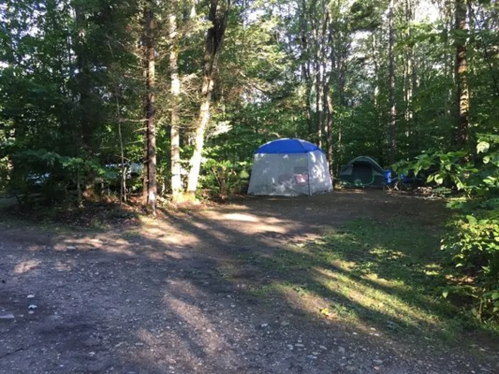 Fernwood Forest Campground