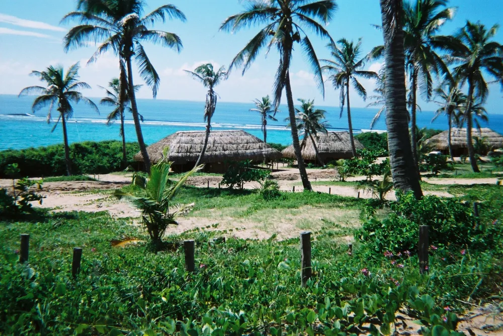 PAINDANE BEACH RESORT