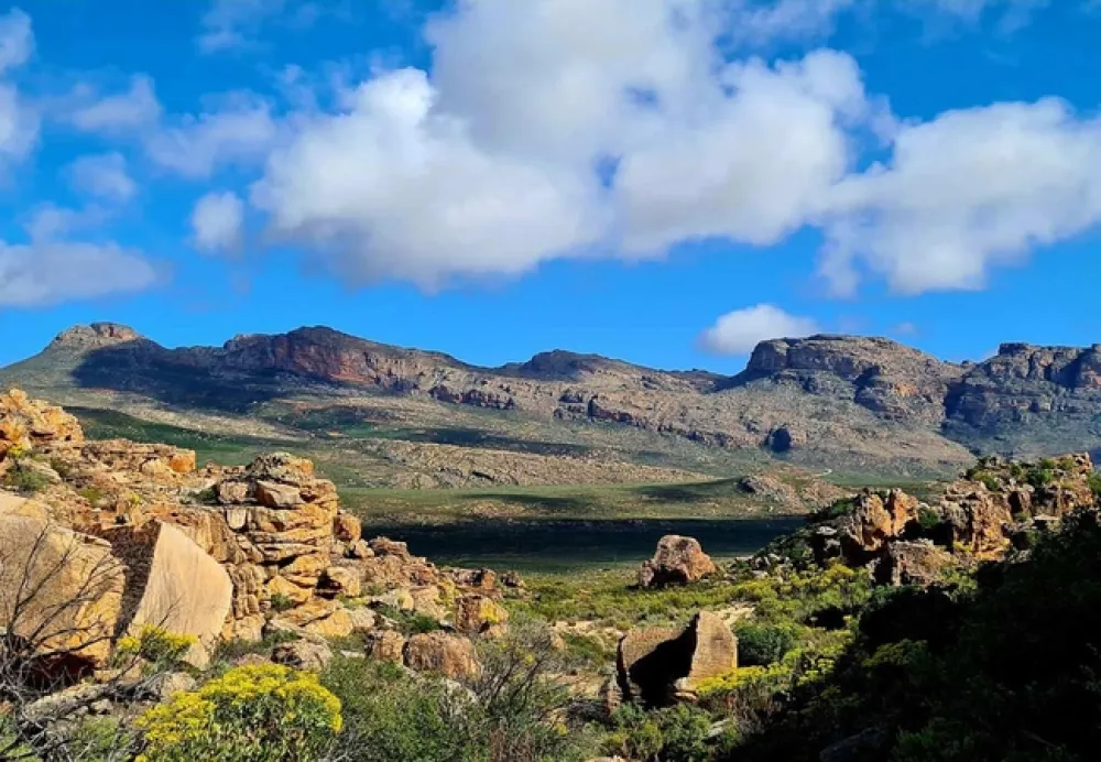 AfriCamps at De Pakhuys