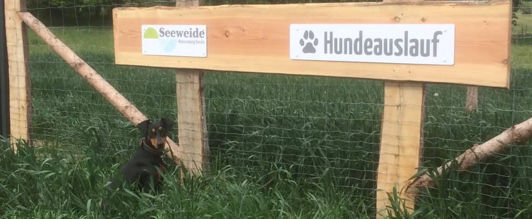 Seeweide Naturcamping Penzlin