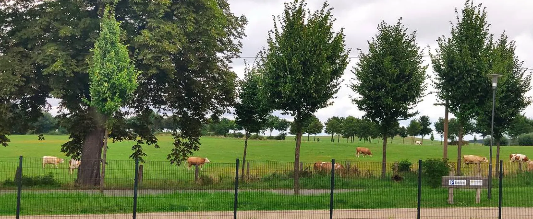 Seeweide Naturcamping Penzlin