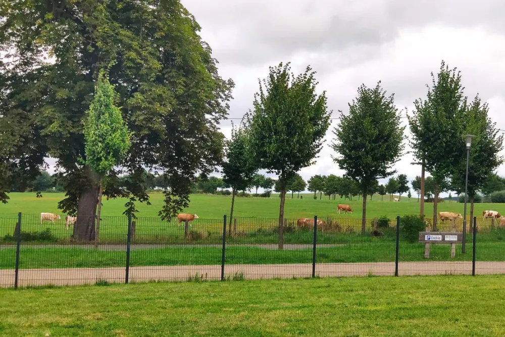 Seeweide Naturcamping Penzlin