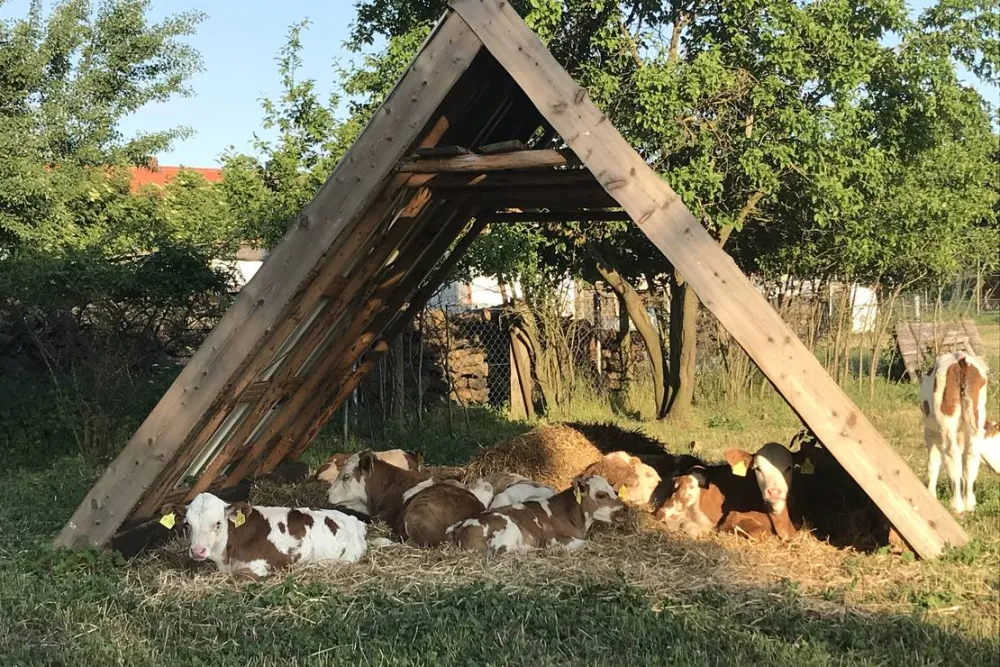 Seeweide Naturcamping Penzlin