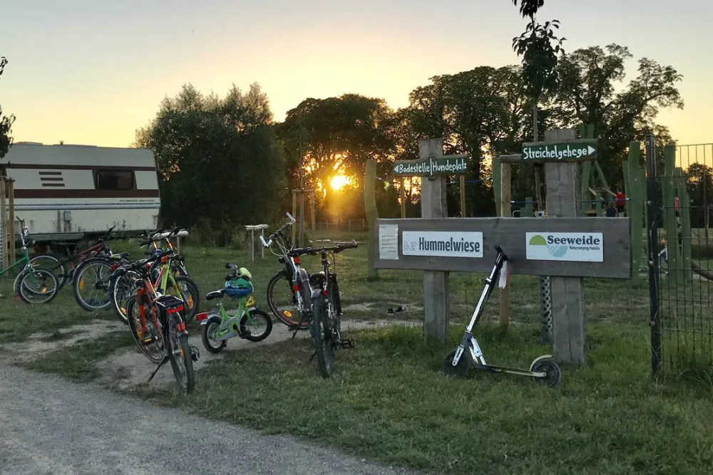 Seeweide Naturcamping Penzlin