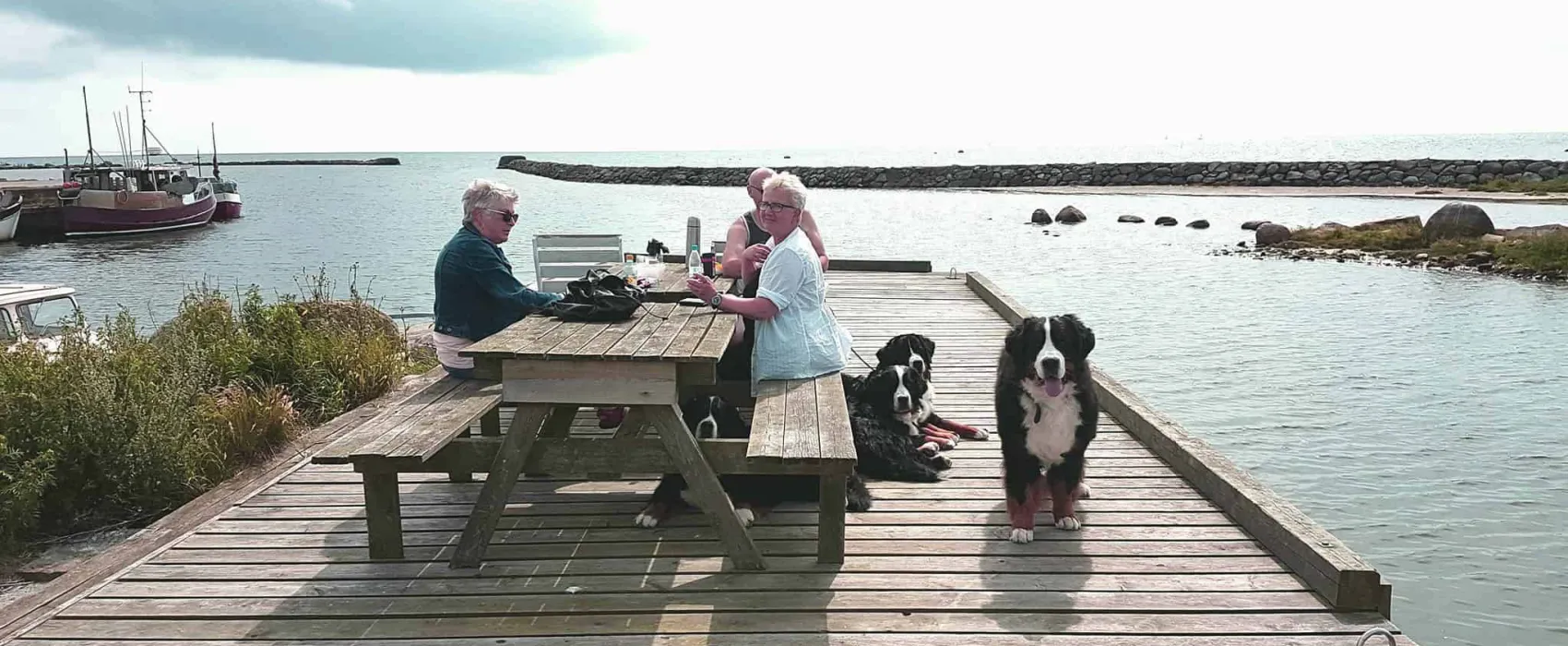 Rödlix Vandrarhem & Camping