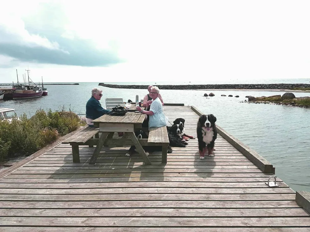 Rödlix Vandrarhem & Camping