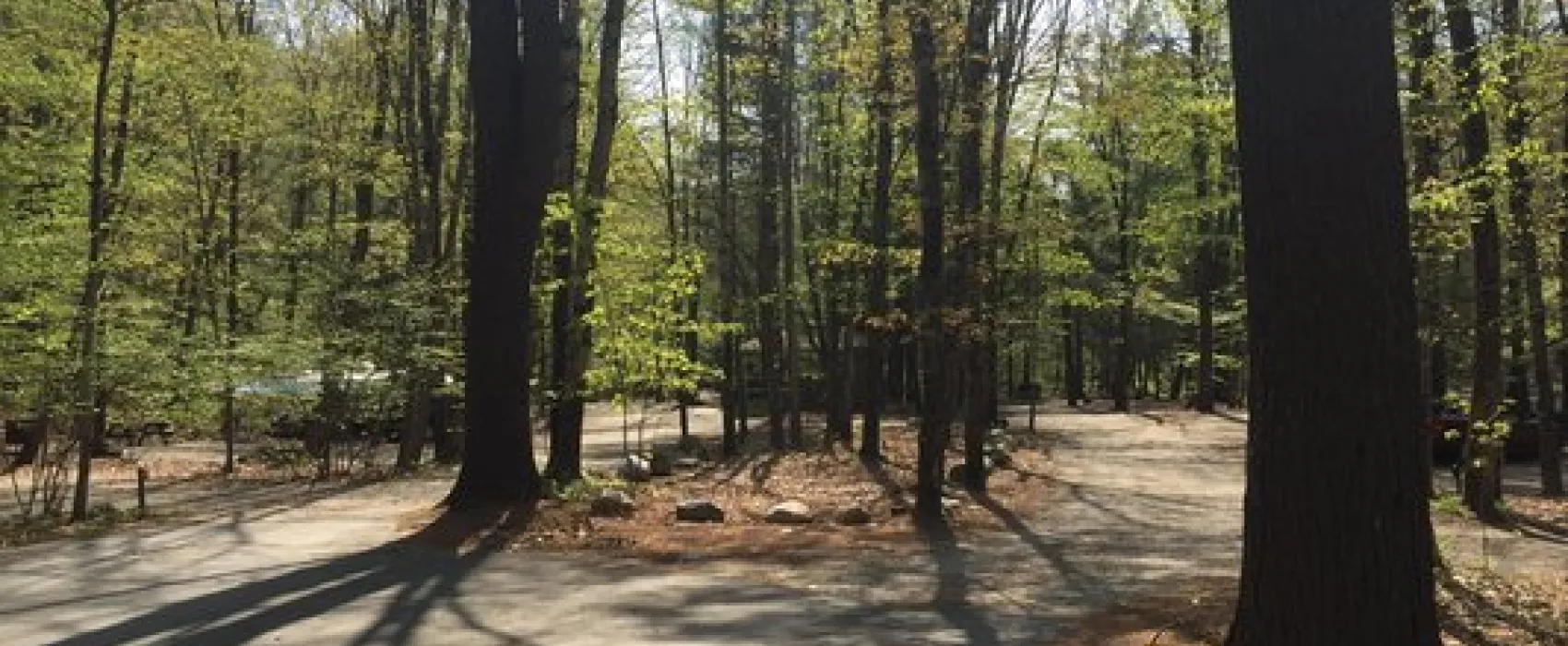 Mohawk Trail State Forest