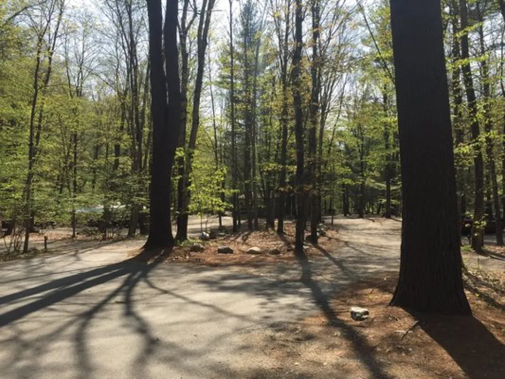 Mohawk Trail State Forest