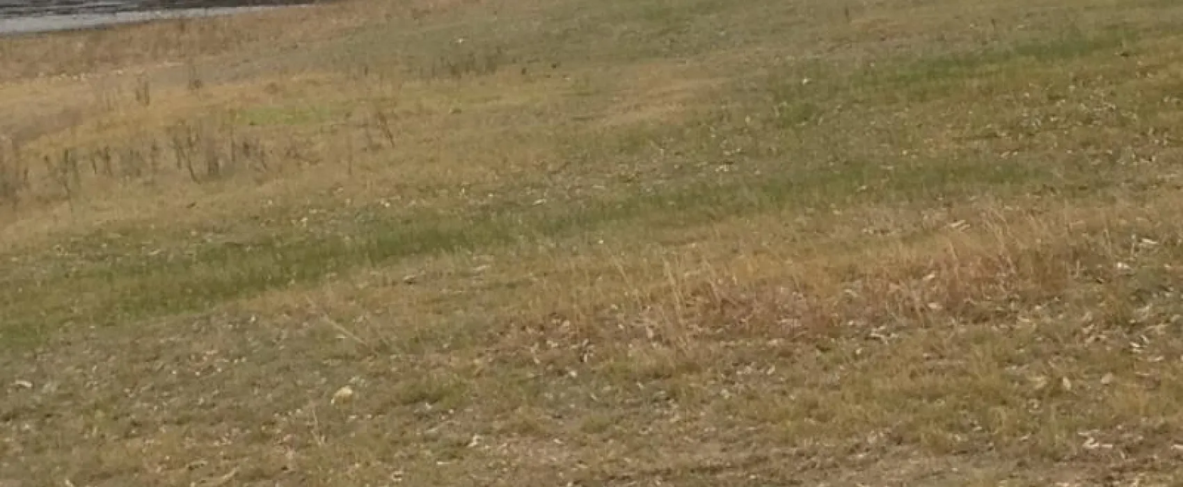 Gadds Reserve Campground