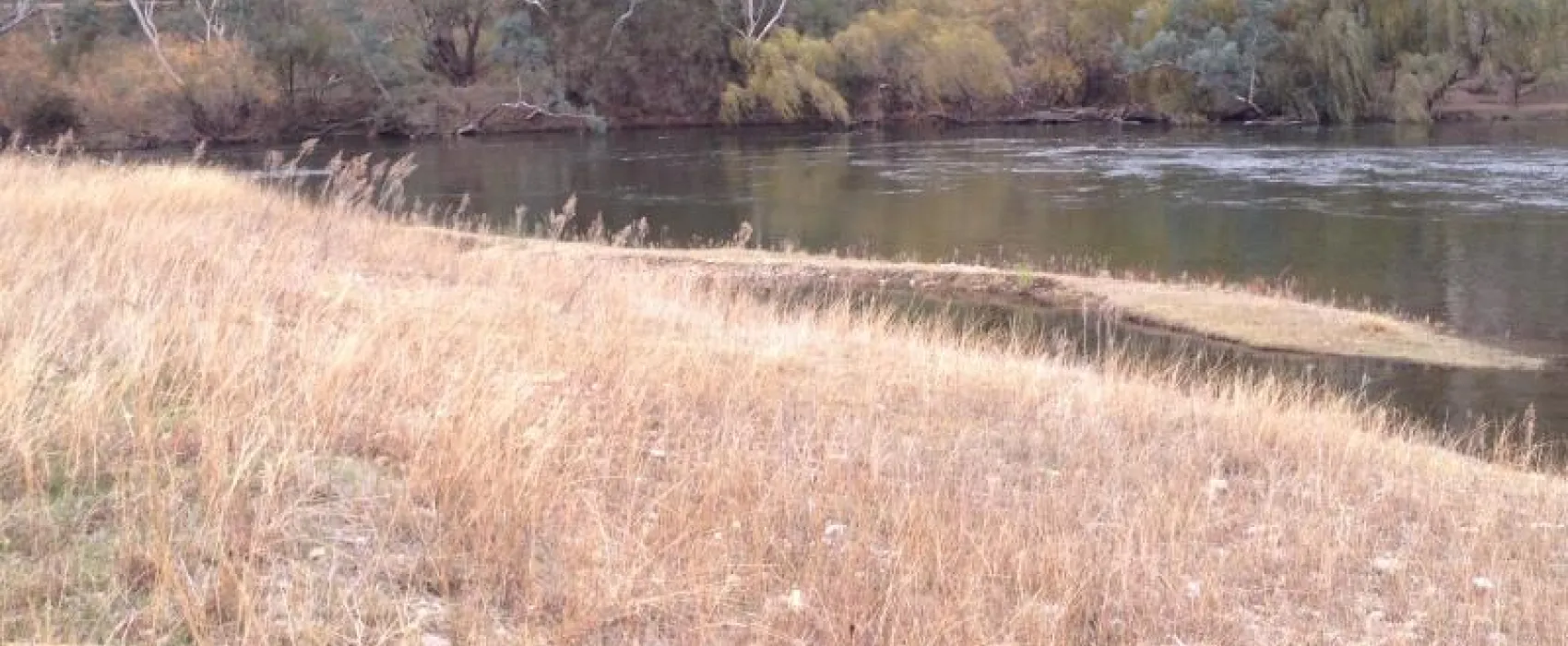 Gadds Reserve Campground