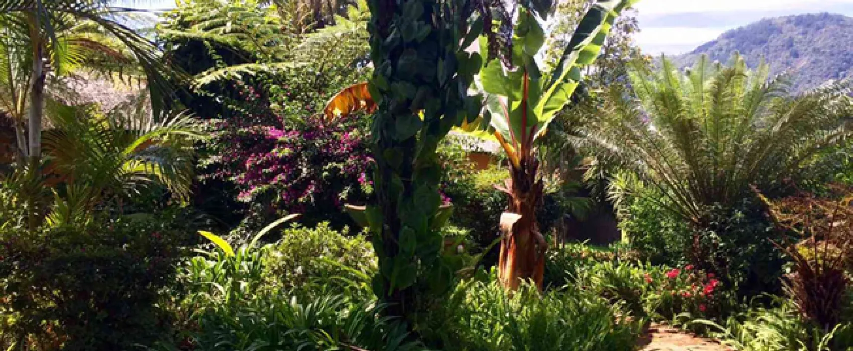 Magoebaskloof Mountain Lodge