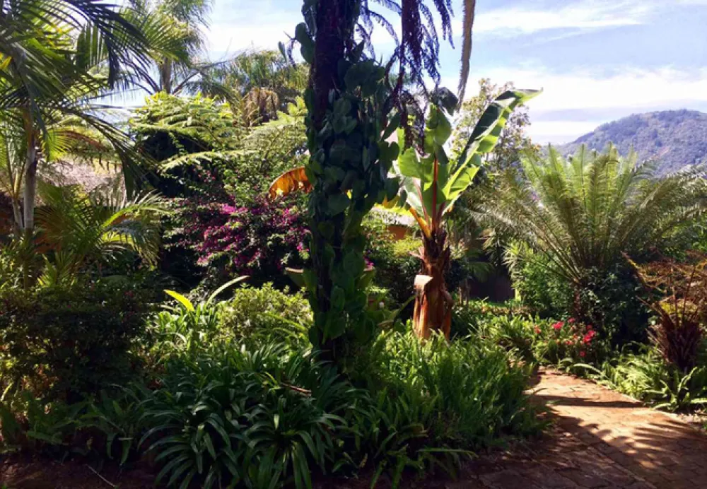 Magoebaskloof Mountain Lodge