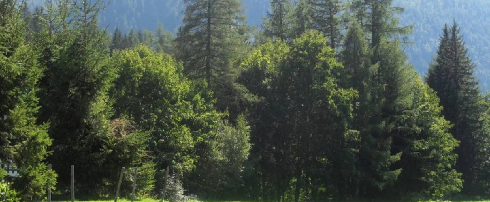 Camping Les Frasserands – Chalet Pierre Semard