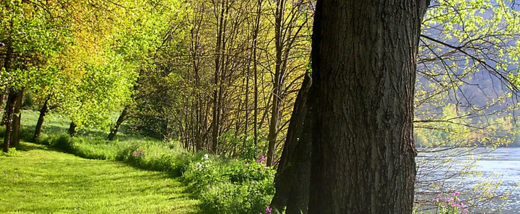 Camp Vallée du Tarn