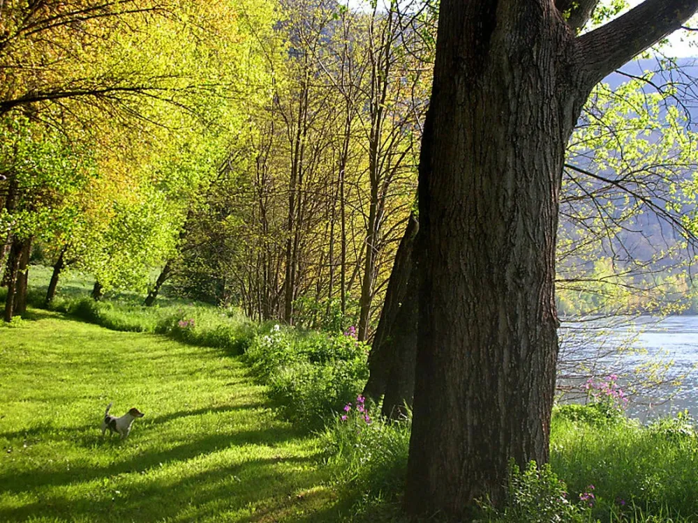 Camp Vallée du Tarn