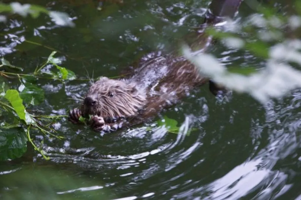 Camp Vallée du Tarn