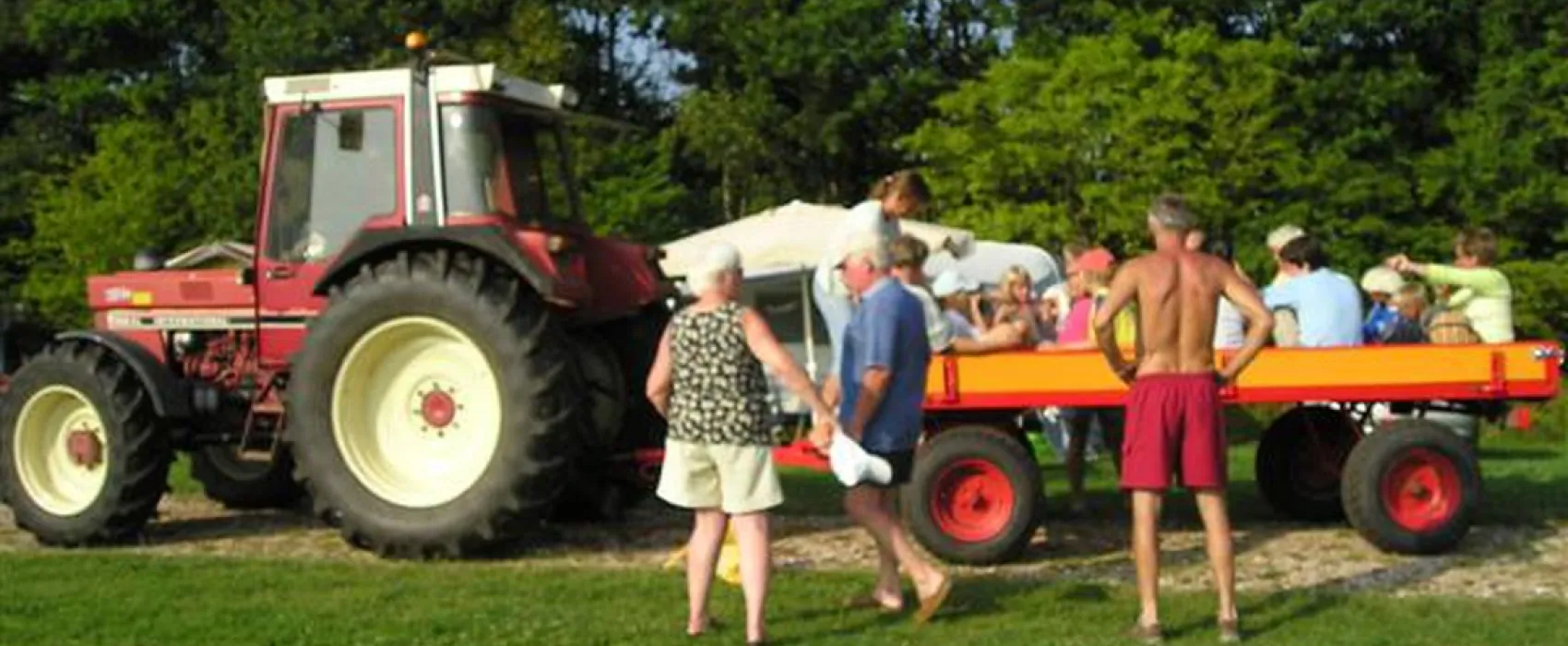 Boerderijcamping de Koaipleats