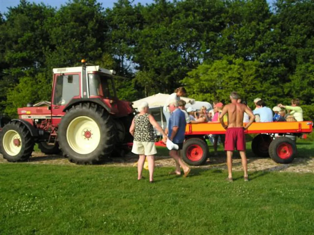 Boerderijcamping de Koaipleats