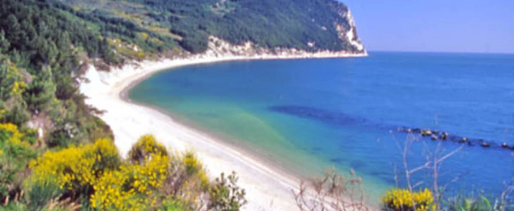 Camping Village Internazionale