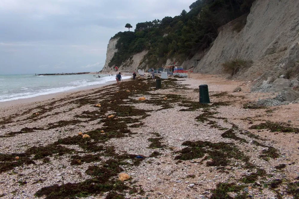 Camping Village Internazionale