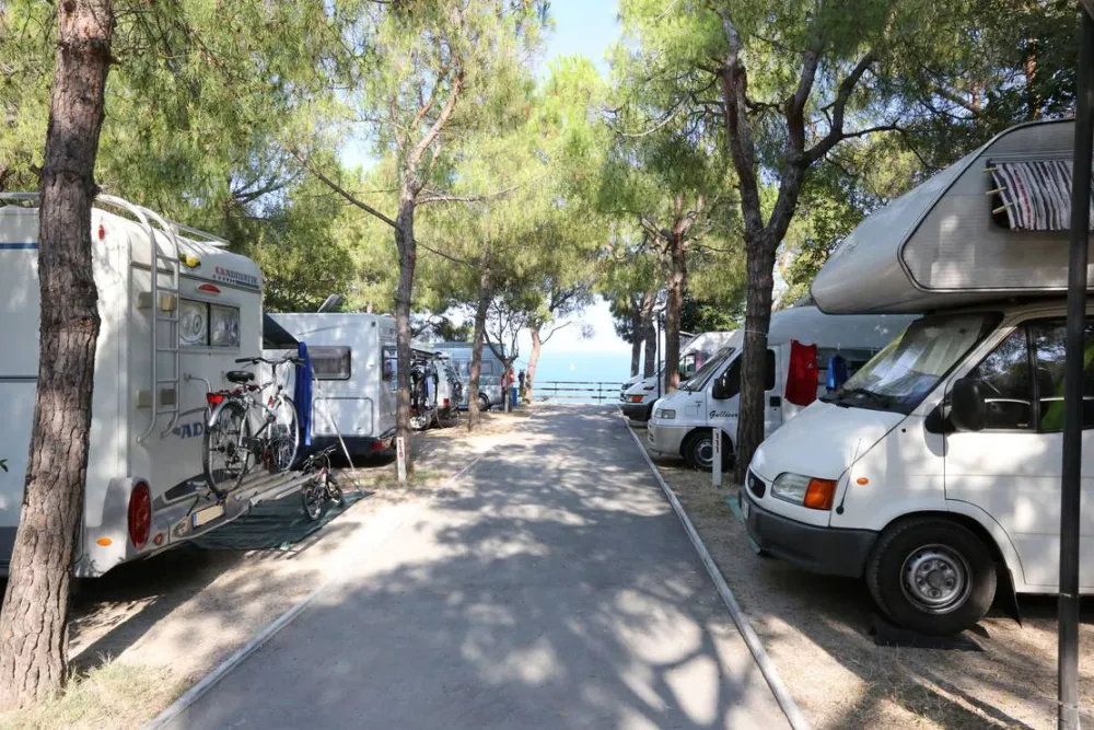 Camping Village Internazionale