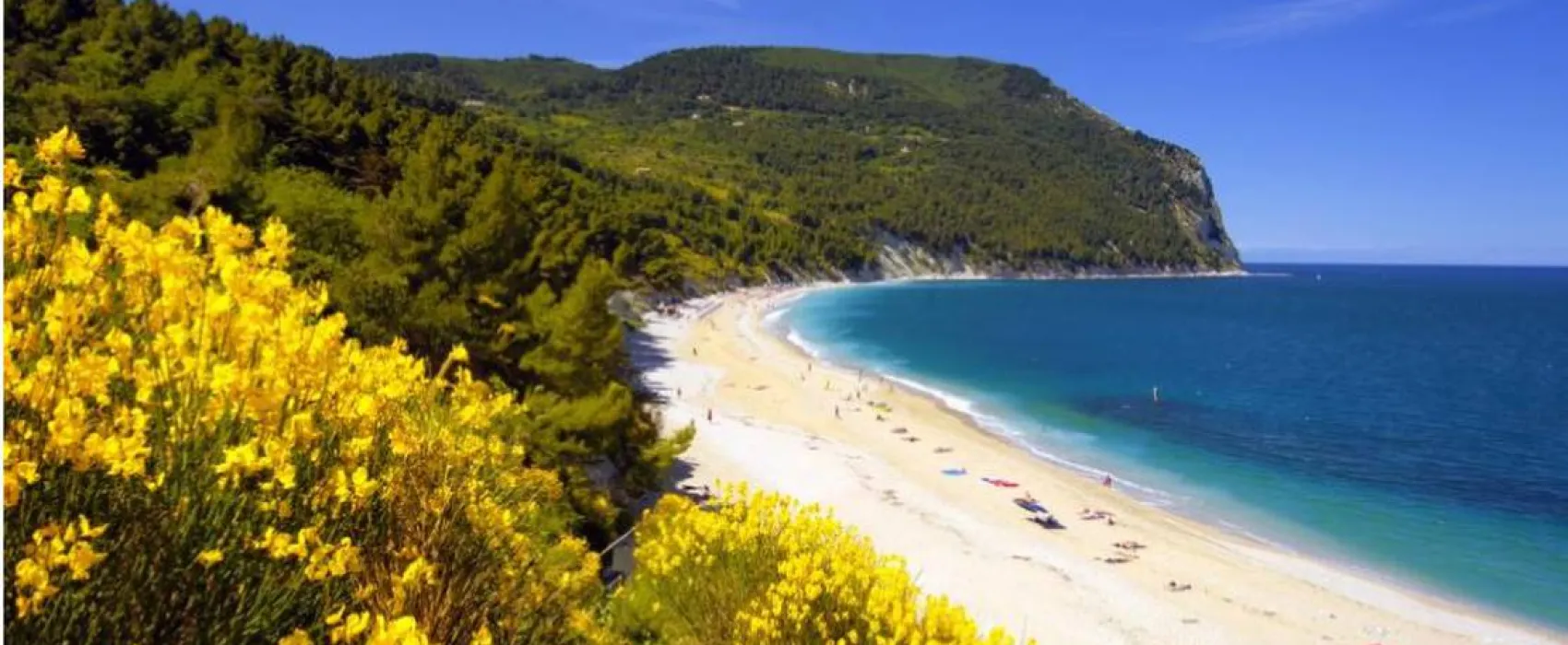 Camping Village Internazionale