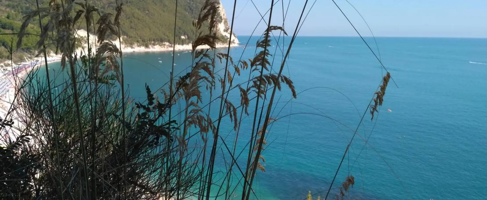 Camping Village Internazionale