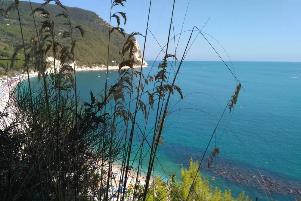 Camping Village Internazionale