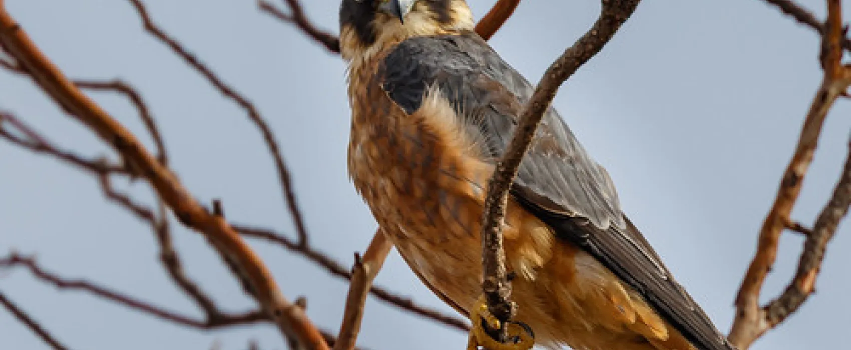 Pink Lakes Campground