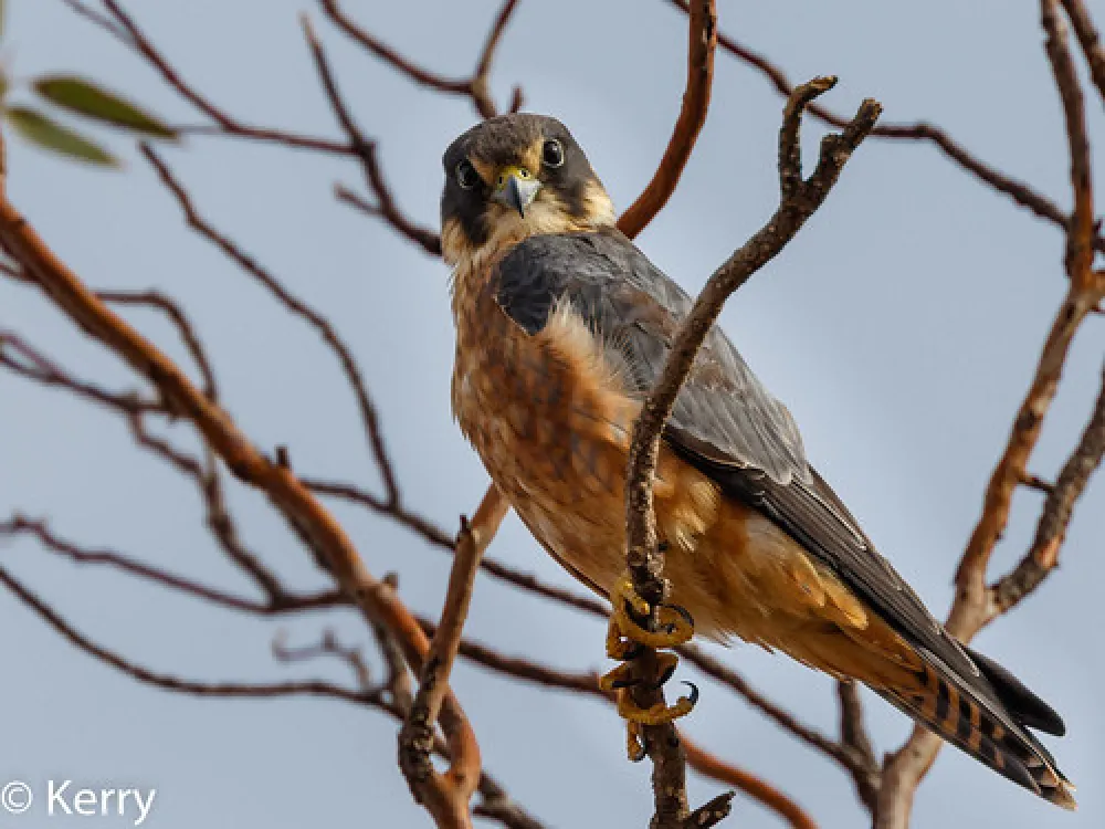 Pink Lakes Campground