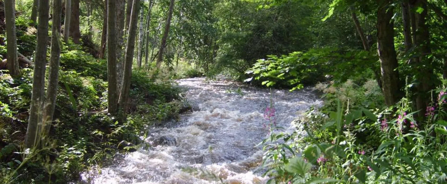 Västra Ämtervik Camping