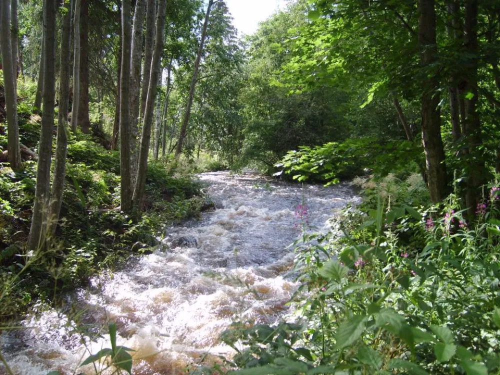 Västra Ämtervik Camping